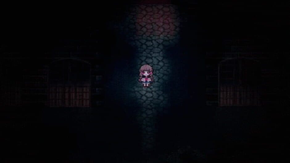 Pocket Mirror screenshot