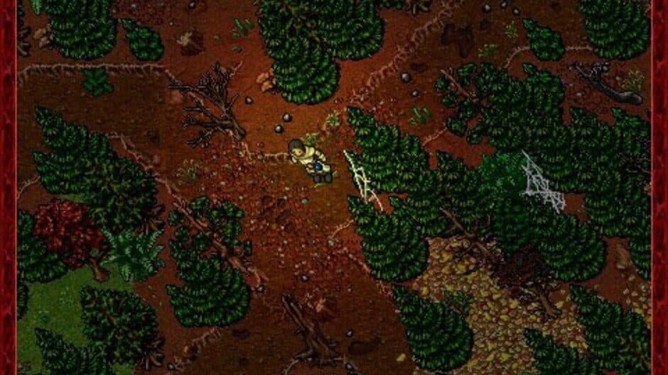 Tibia screenshot