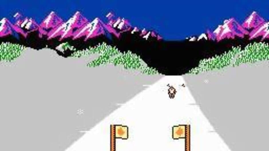 Slalom screenshot