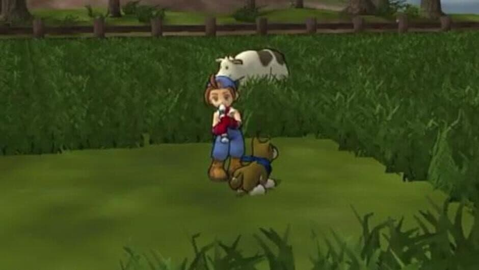 Harvest Moon: Save the Homeland screenshot