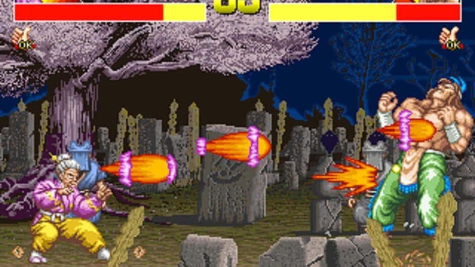 Power Instinct screenshot