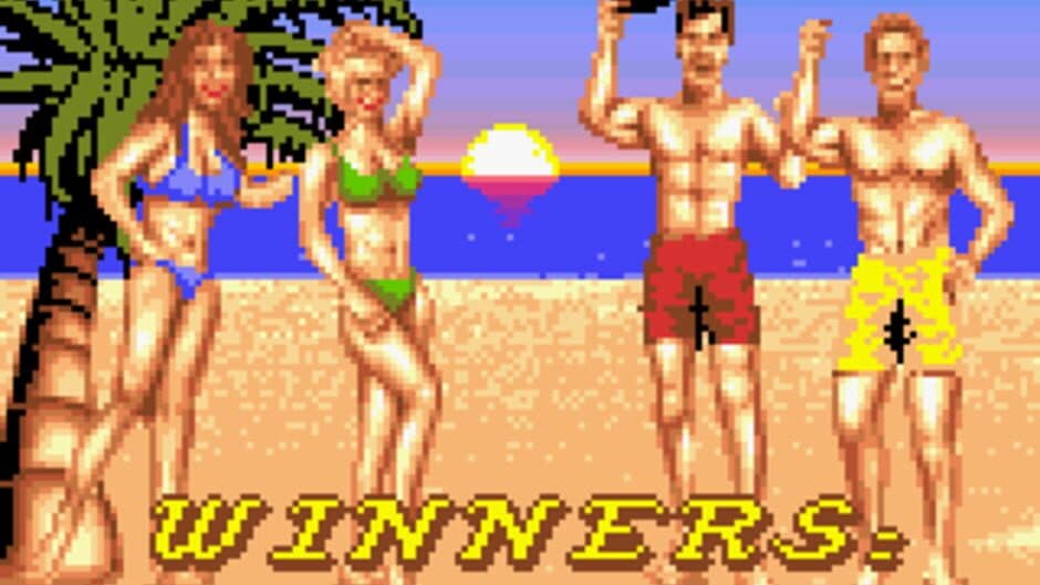 Malibu Bikini Volleyball screenshot