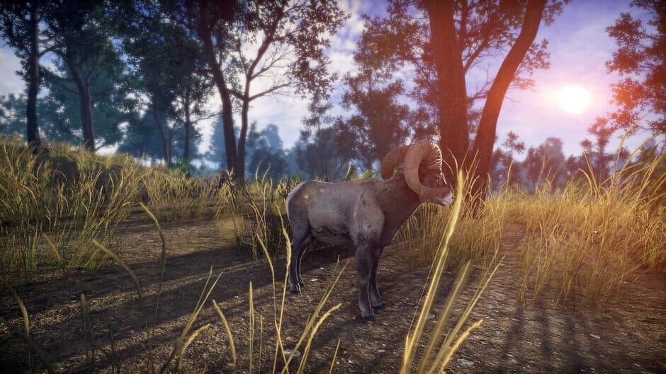 Lightning Fast screenshot