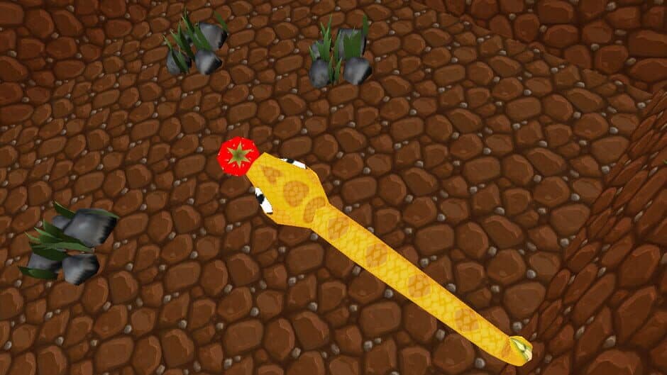 Snake in the Cube screenshot