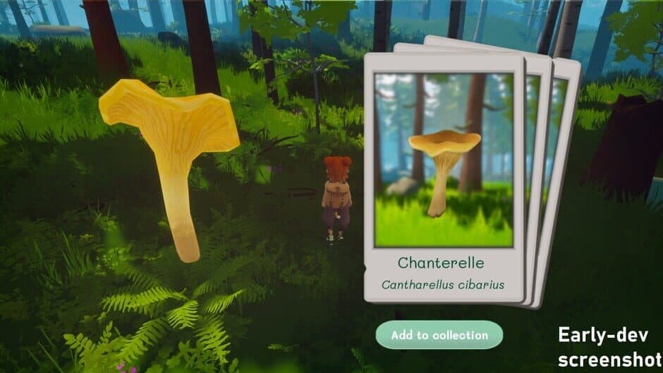 Out and About screenshot