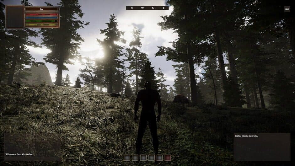 Dura Vita Online screenshot