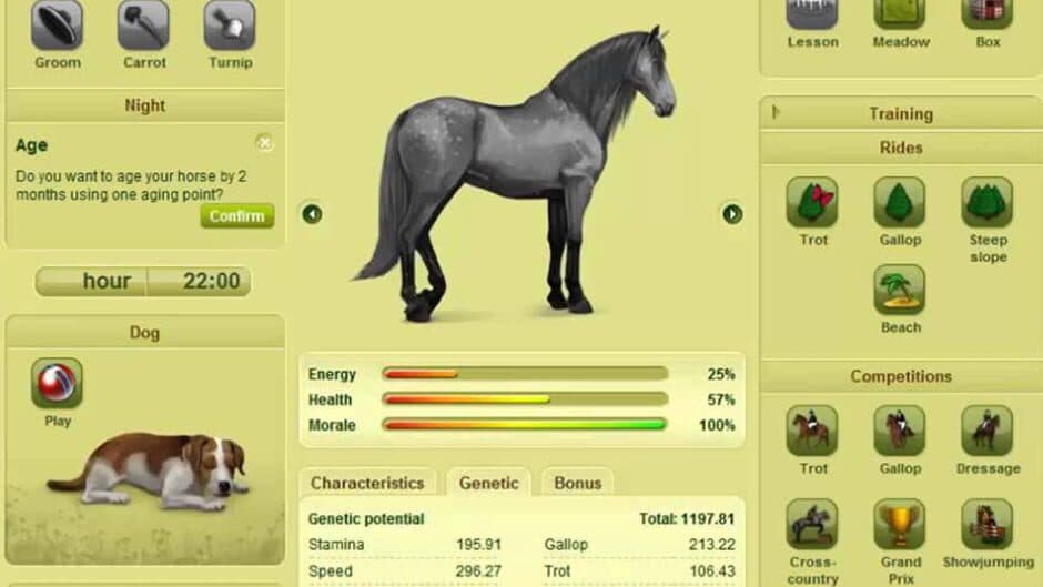 Howrse screenshot