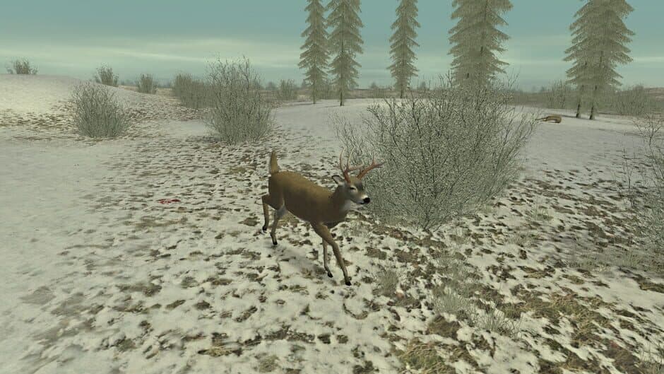 Hunting Unlimited 2 screenshot
