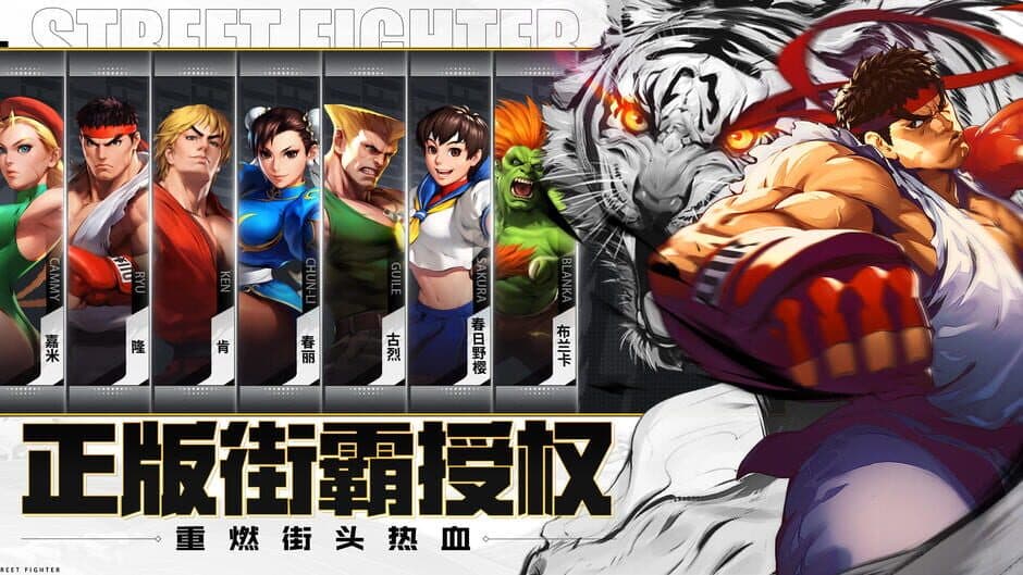 Street Fighter: Duel screenshot