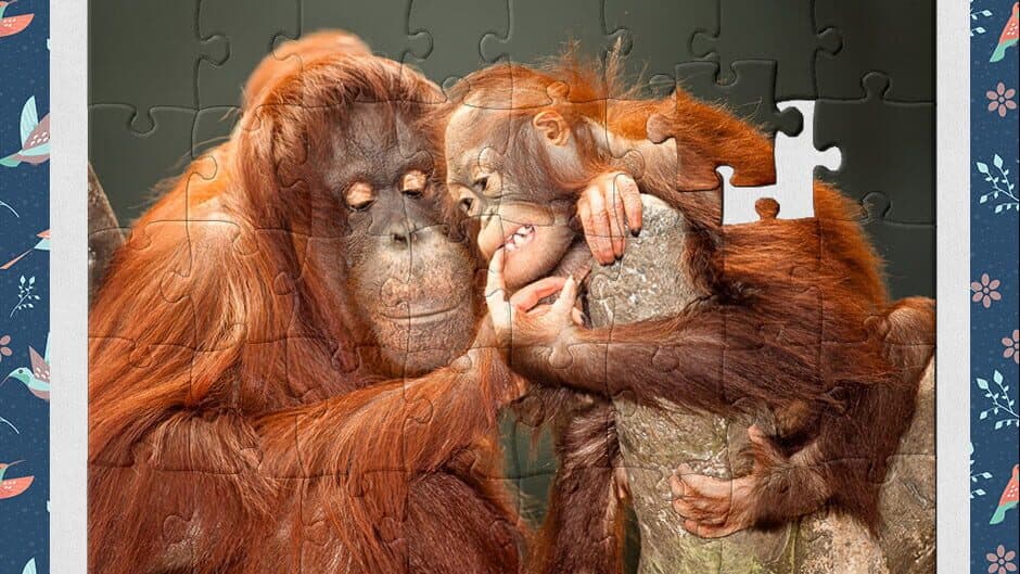 1001 Jigsaw: Earth Chronicles 9 screenshot