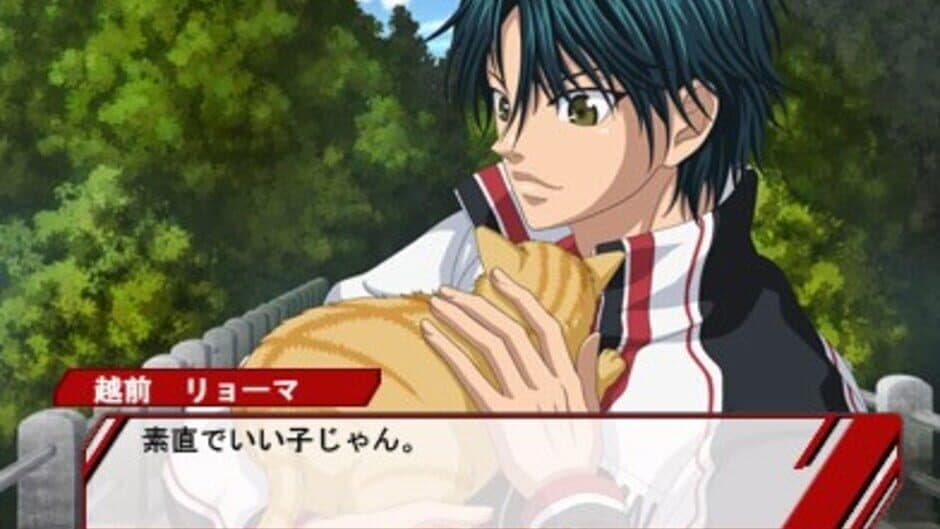 Shin Tennis no Ouji-sama: Go to the Top screenshot
