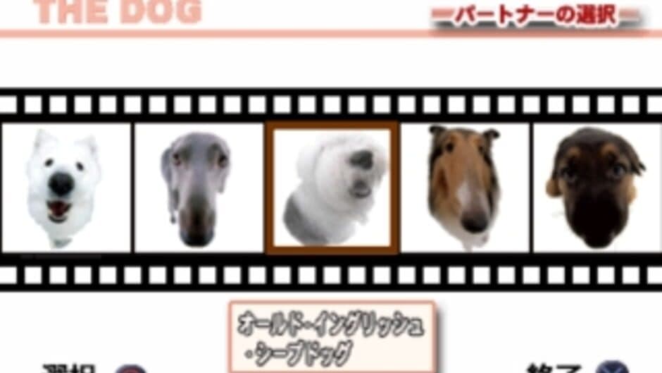 The Dog Master screenshot