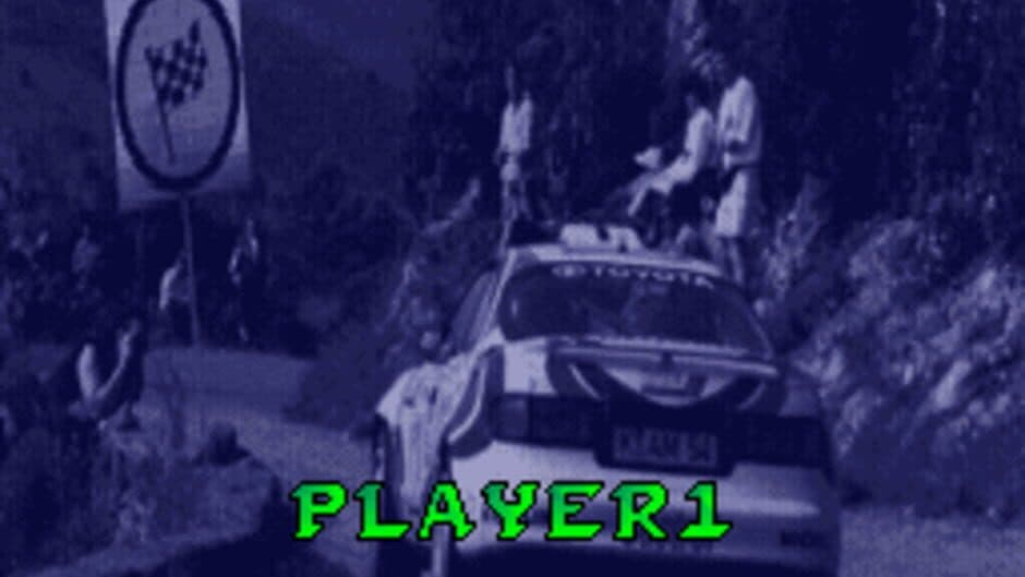 Rally: The Final Round of the World Rally Championship screenshot