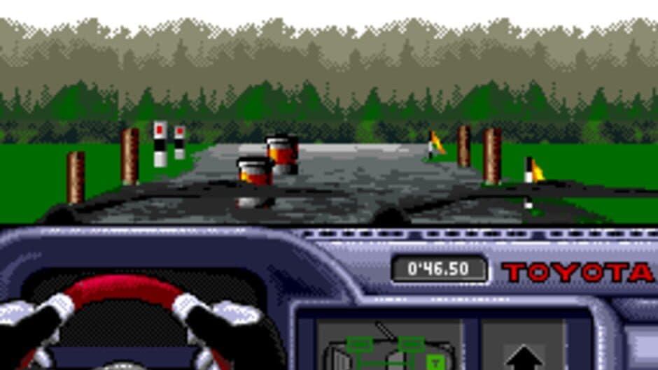 Rally: The Final Round of the World Rally Championship screenshot