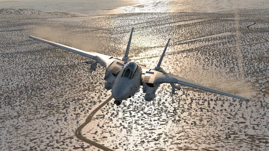 X-Plane 12 screenshot