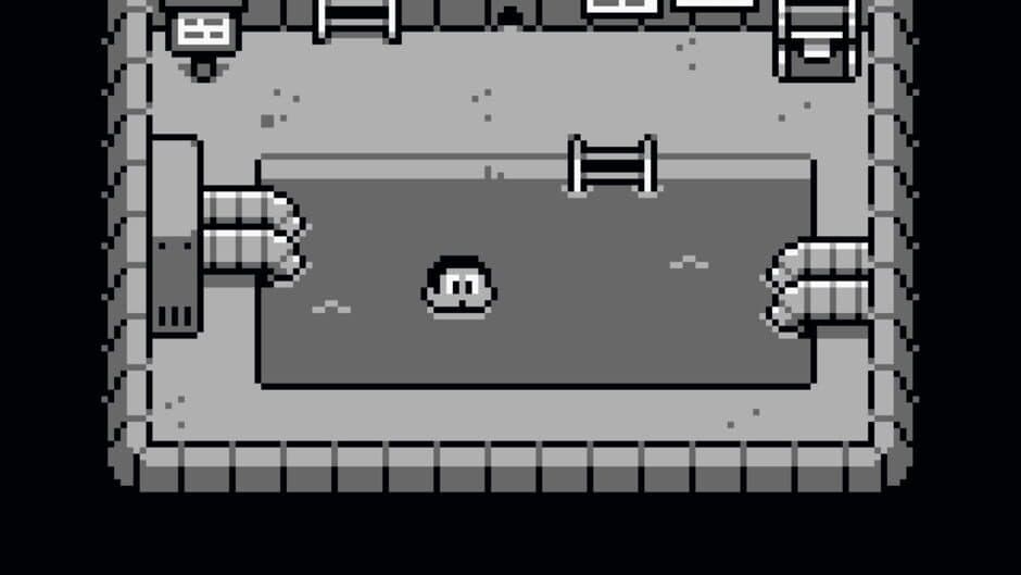 Dog's Muck Island screenshot
