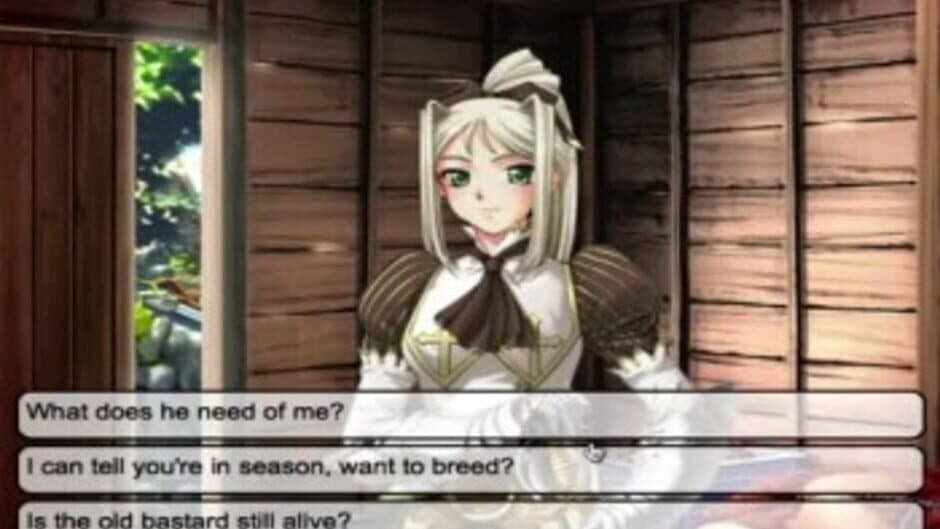 Meet'N'Fuck Kingdom screenshot