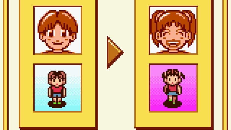 Animal Breeder 3 screenshot