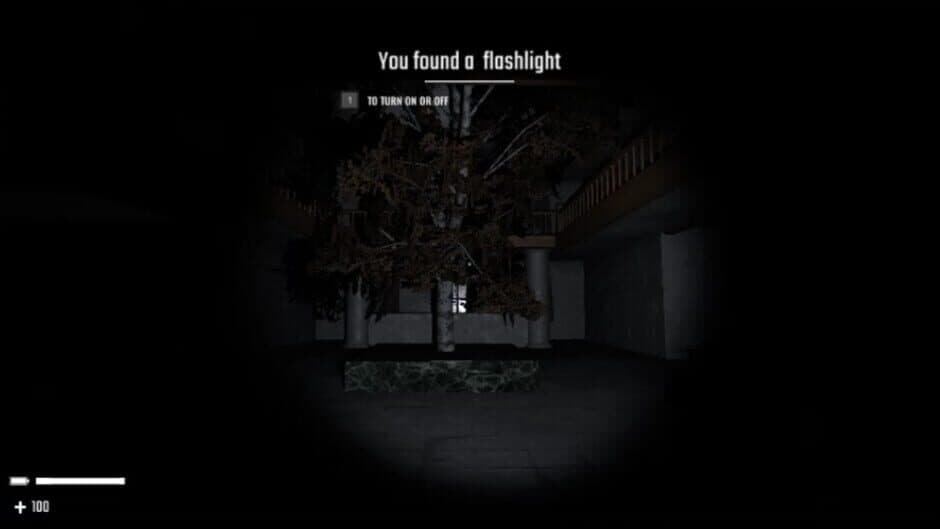 The Asher Asylum screenshot