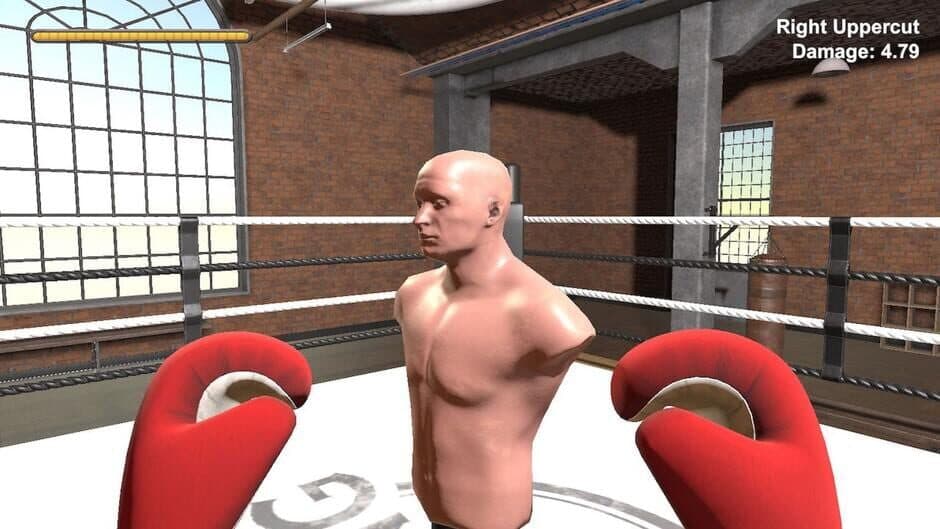Boxer screenshot