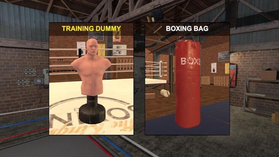 Boxer screenshot