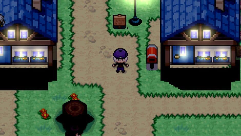 Pokémon Gadir screenshot