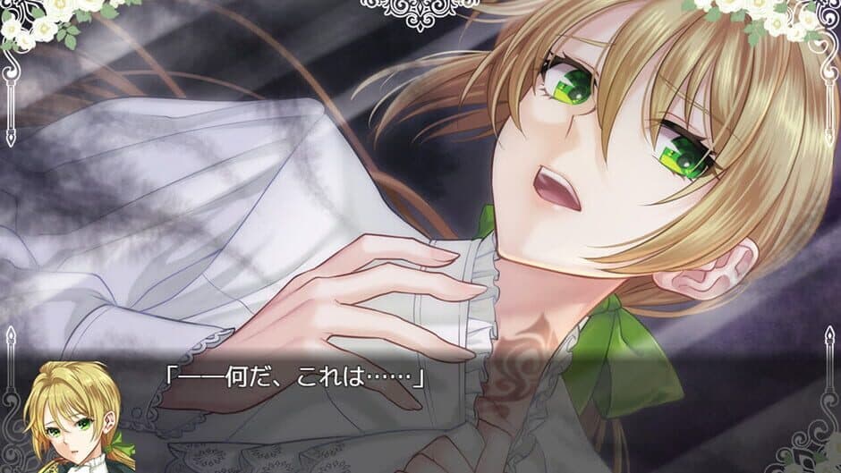 When Sword Sinks Into Flowers screenshot