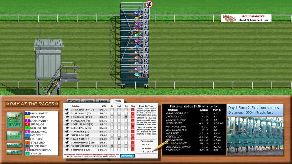 Day at the Races screenshot