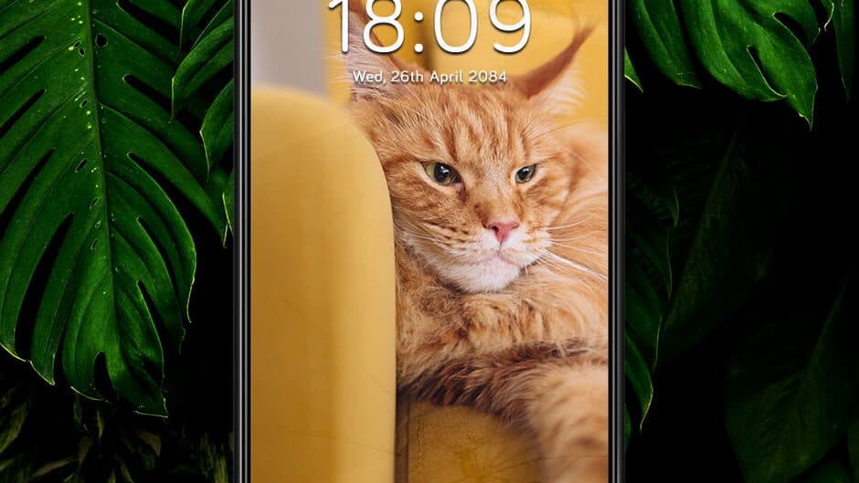 A Phone Found in Tall Grass screenshot