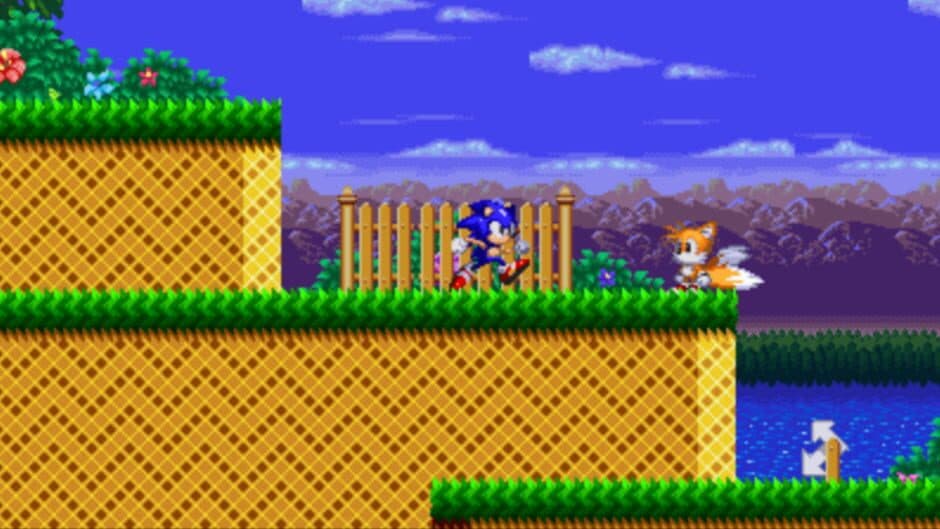 Sonic: Project Survival screenshot