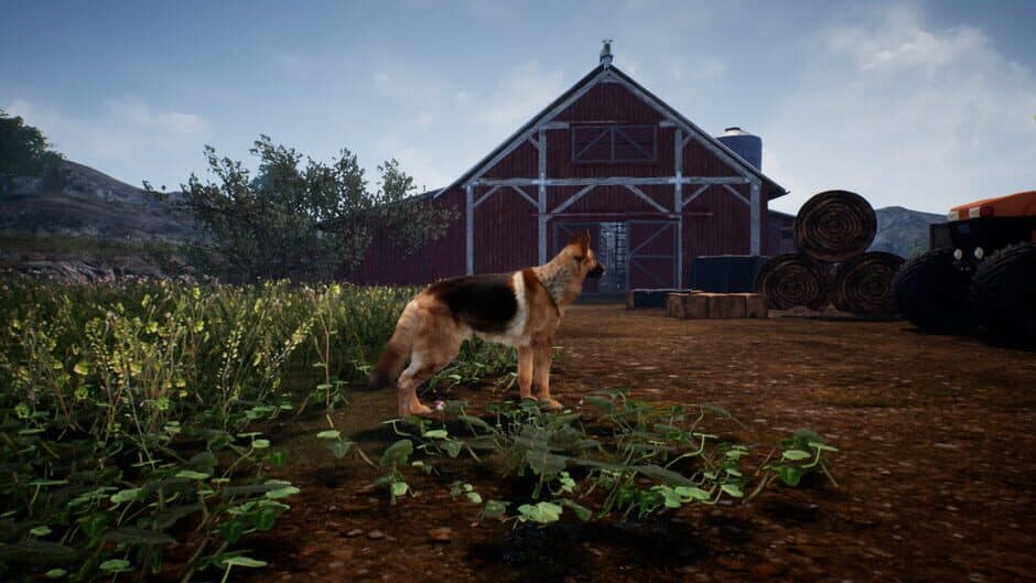 Shepherd Dog screenshot