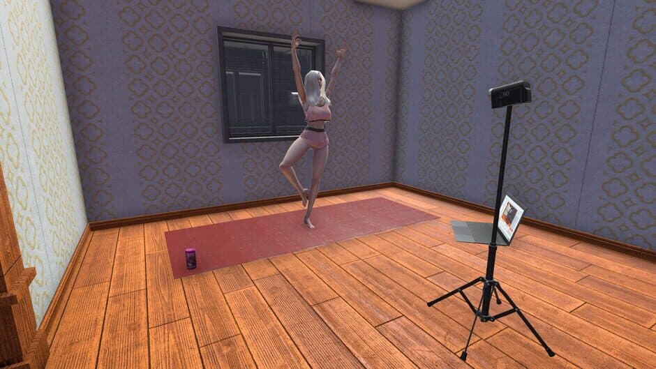 Streamer Girl Simulator screenshot