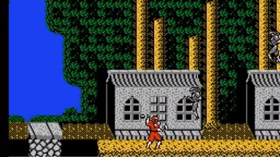 Ninja Crusaders screenshot