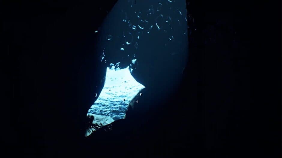 B.O.W II VR screenshot