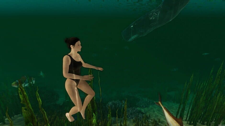 Island Notes screenshot