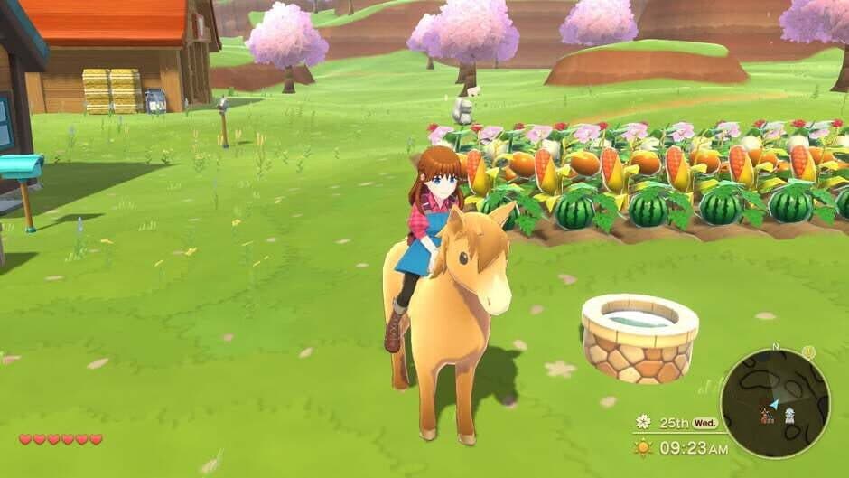 Harvest Moon: The Winds of Anthos screenshot
