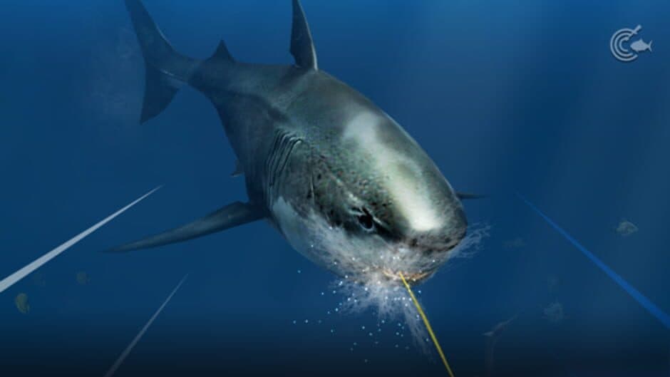 Ace Fishing: Crew screenshot