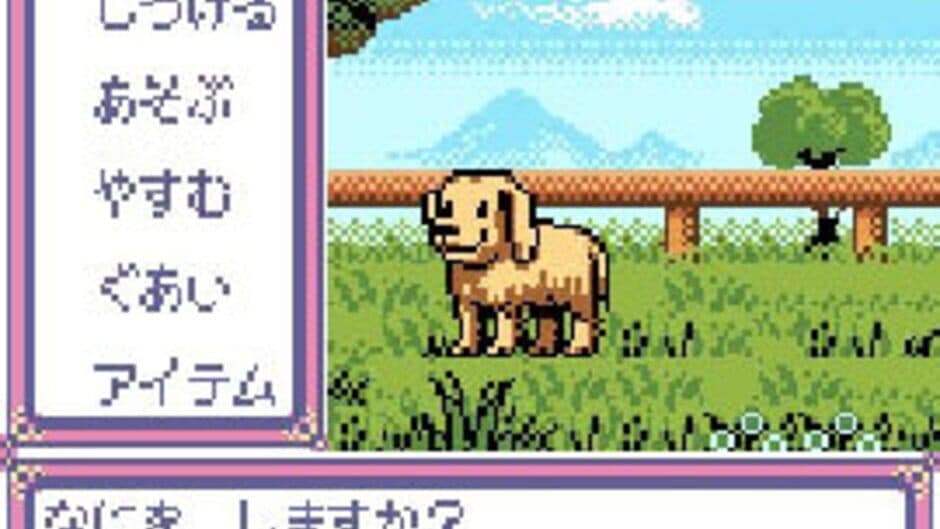 Kawaii Pet Shop Monogatari 2 screenshot