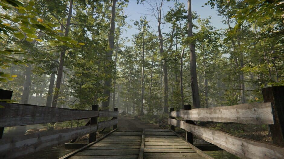 Camping Vlog Simulator 2024 screenshot