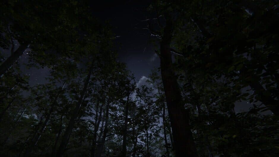 Camping Vlog Simulator 2024 screenshot