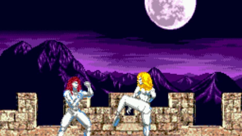 Fight for Vengeance screenshot