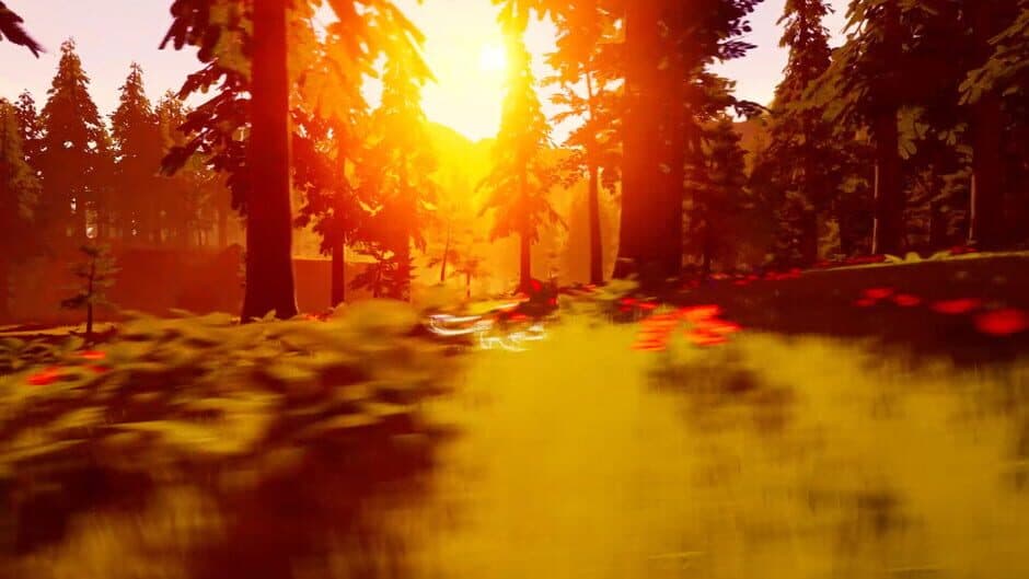 Paws Trail screenshot