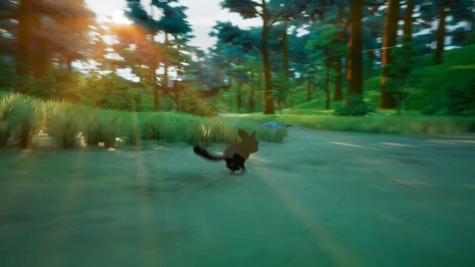 Paws Trail screenshot