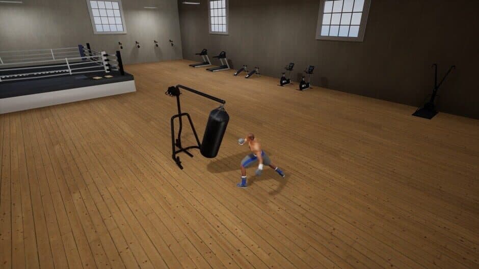 Tactic Boxing screenshot