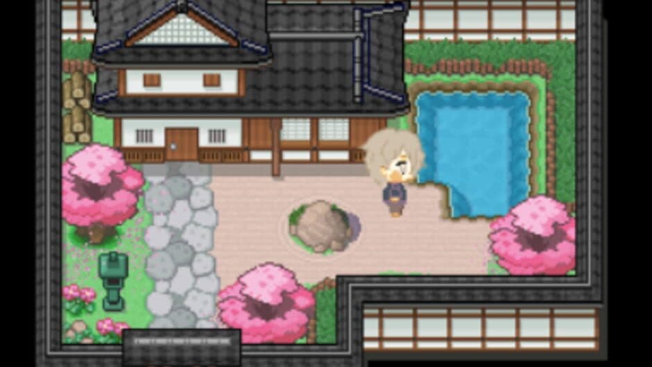 Koi screenshot