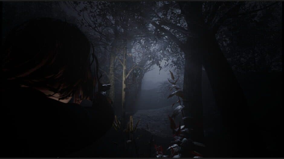 Cult of Dawn screenshot