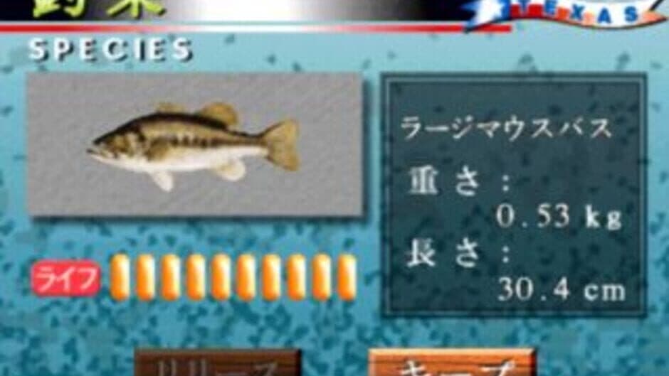 Bass Fisherman screenshot