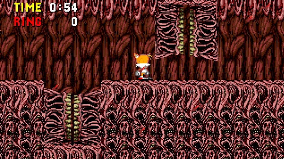 Sonic PC Port Remake screenshot