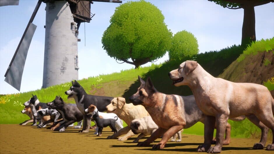 Dogs Club screenshot