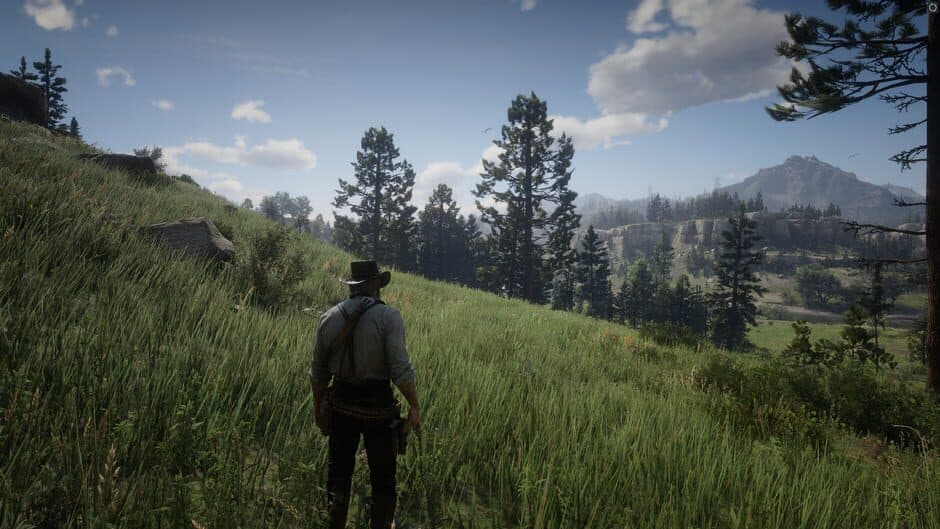 Red Dead Redemption 2 screenshot